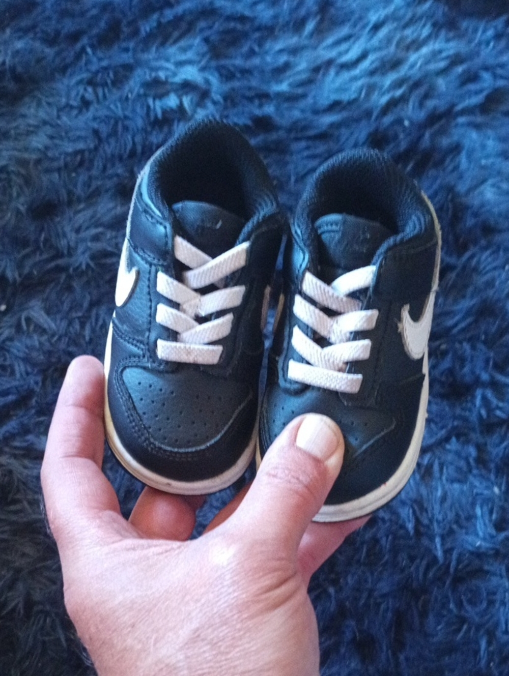Nike Dunk Low Shoes